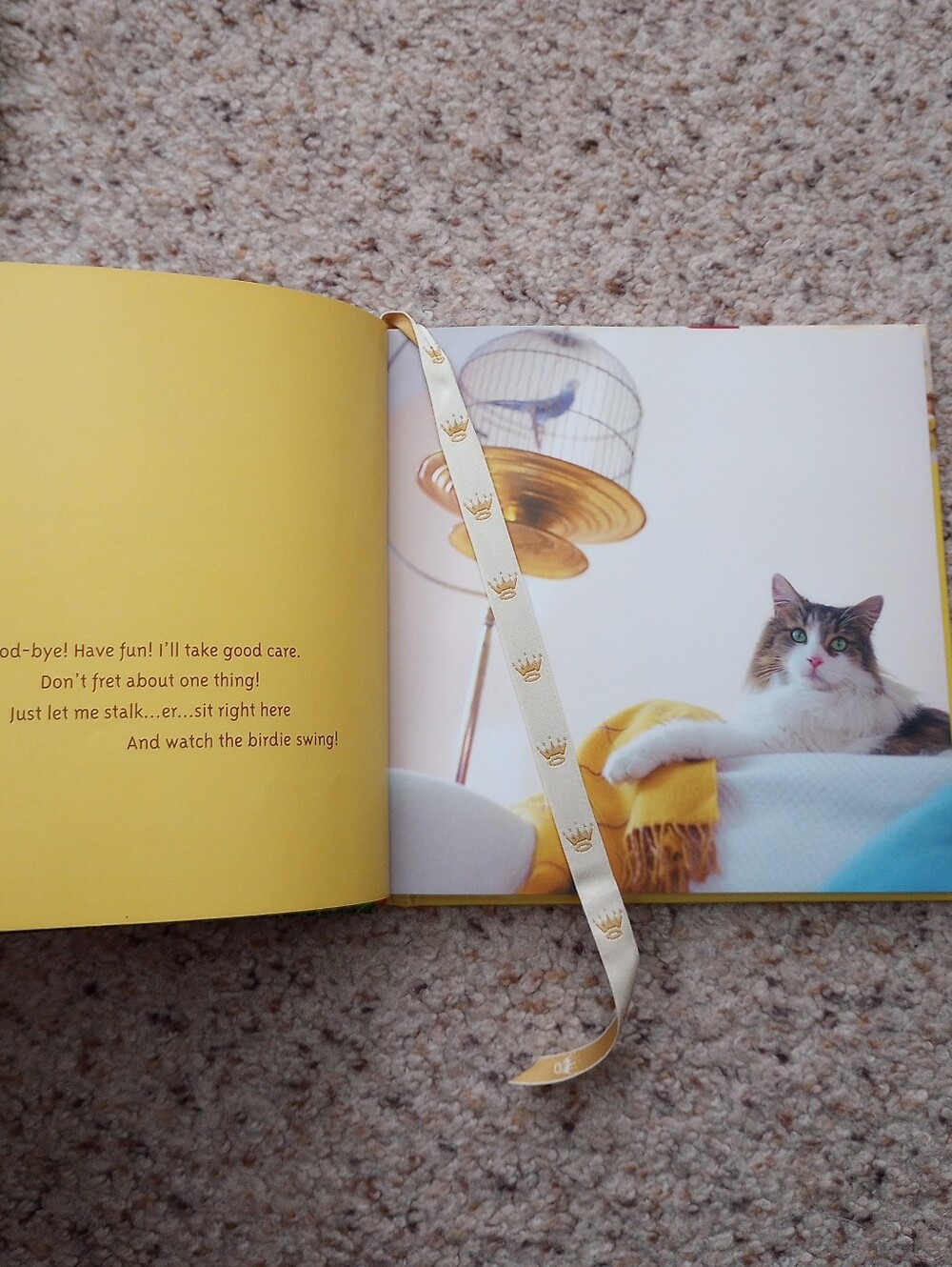 Lot Of Cat Books 5 Total Cats Kittens Cute Pictures Facts - Picture 7 of 13